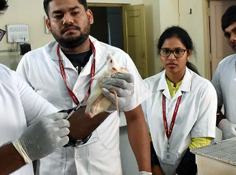 Ph.D Pharmacology thumbnail